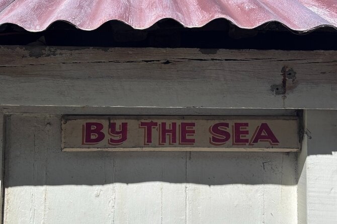 Otago Harbour by Bike: A Self Guided Tour - Portobello and the Return Along the Peninsula