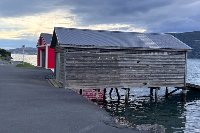 Otago Harbour by Bike: A Self Guided Tour - Who Will Enjoy This Ride Most