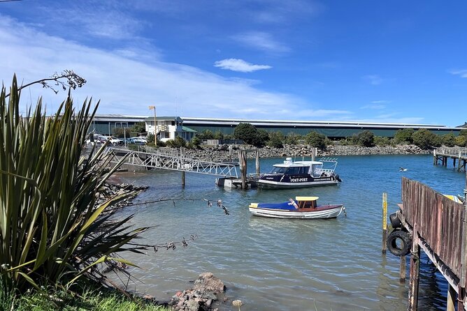 Otago Harbour by Bike: A Self Guided Tour - Crossing From Port Chalmers to Portobello