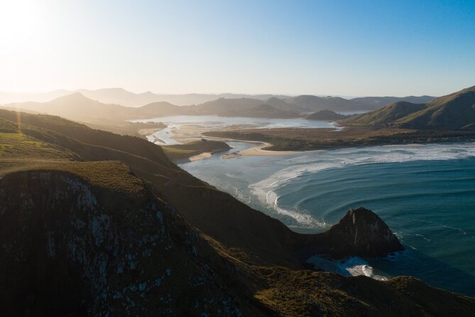 Otago Peninsula In-Depth Tour & Blue Penguins Pukekura Experience - Starting in Dunedin at the Octagon