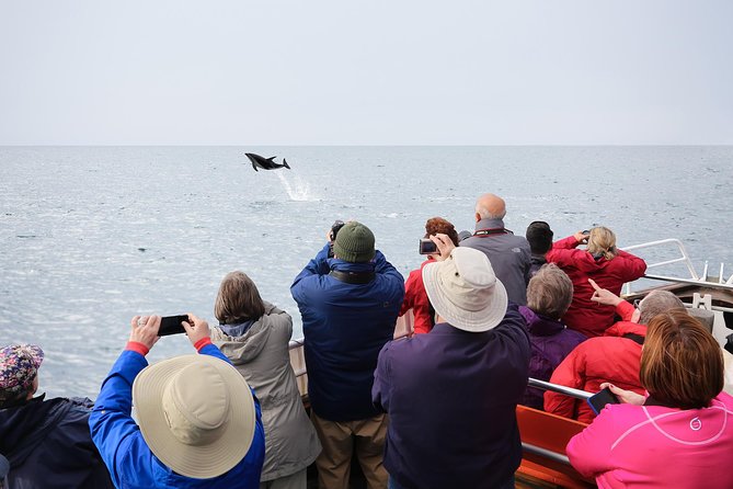 Otago Peninsula Wildlife Cruise with Monarch - The drive to Wellers Rock and Taiaroa Head