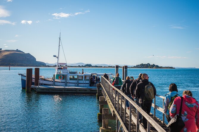 Otago Peninsula Wildlife Cruise with Monarch - What happens during the one-hour wildlife cruise