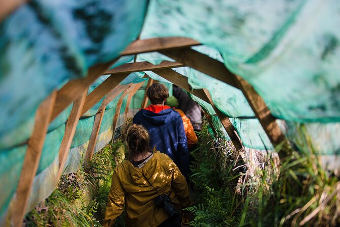 Otago Peninsula Wildlife Tour & Cruise - Key points at a glance