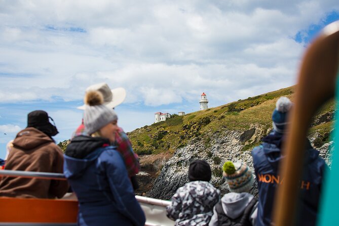 Otago Peninsula Wildlife Tour & Cruise - A one-hour cruise toward Taiaroa Head