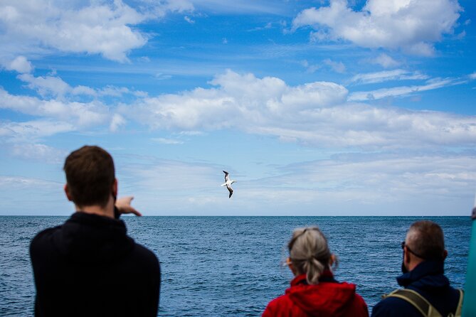 Otago Peninsula Wildlife Tour & Cruise - The yellow-eyed penguin conservation reserve