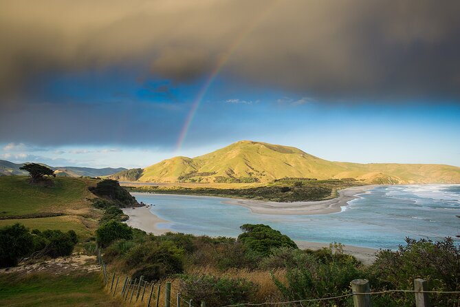 Otago Peninsula Wildlife Tour & Cruise - Guides, commentary, and the small-group feel