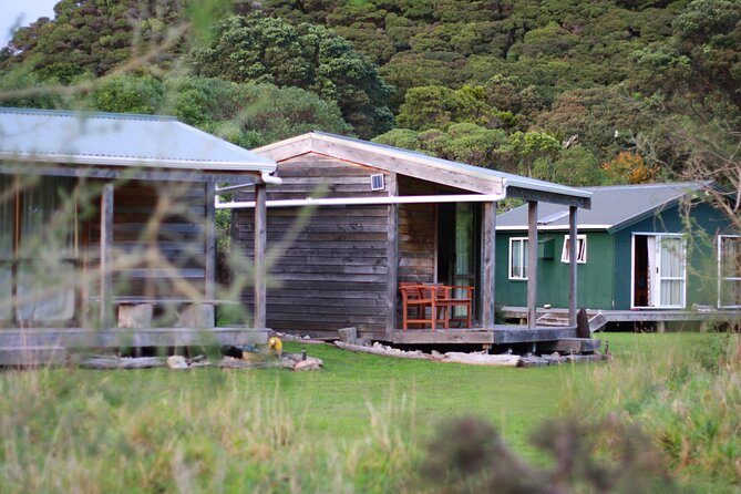Overnight Experience Tour on Kapiti Island - Why staying overnight changes Kapiti Island