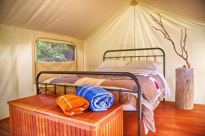 Overnight Experience Tour on Kapiti Island - Who will enjoy this island stay most