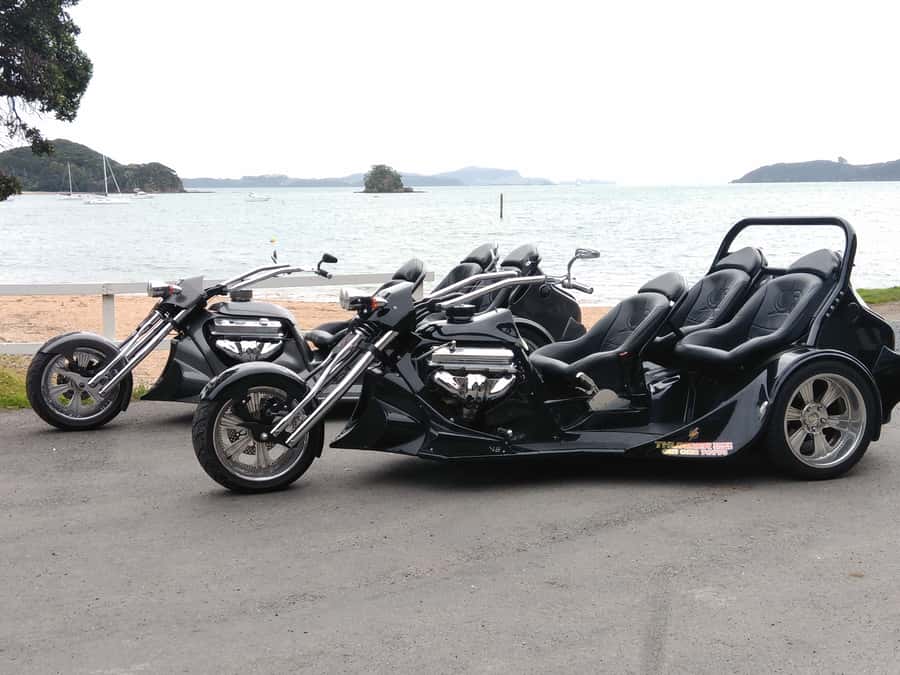 Paihia: Bay of Islands Trike Tour Experience - Meet at Paihia Wharf and get ready to ride