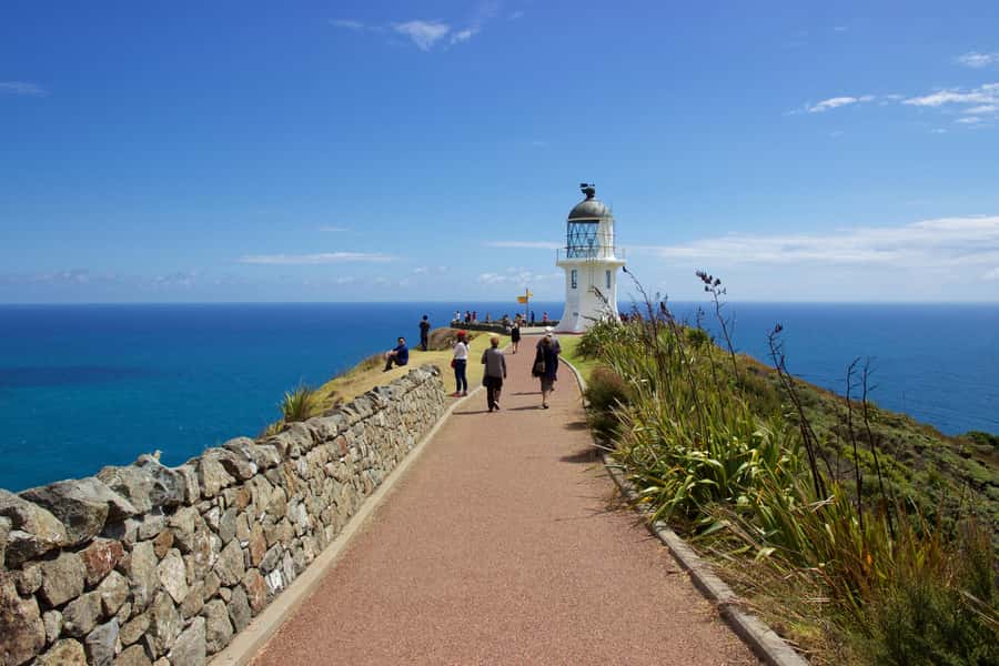 Paihia: Cape Reinga and Ninety Mile Beach Trip with Lunch - Key points to know before booking