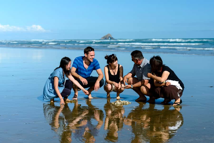 Paihia: Cape Reinga and Ninety Mile Beach Trip with Lunch - Sandboarding on the Northland Dunes