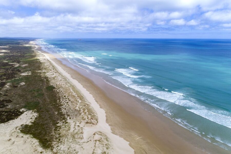 Paihia: Cape Reinga and Ninety Mile Beach Trip with Lunch - Who Will Enjoy This Cape Reinga Trip?