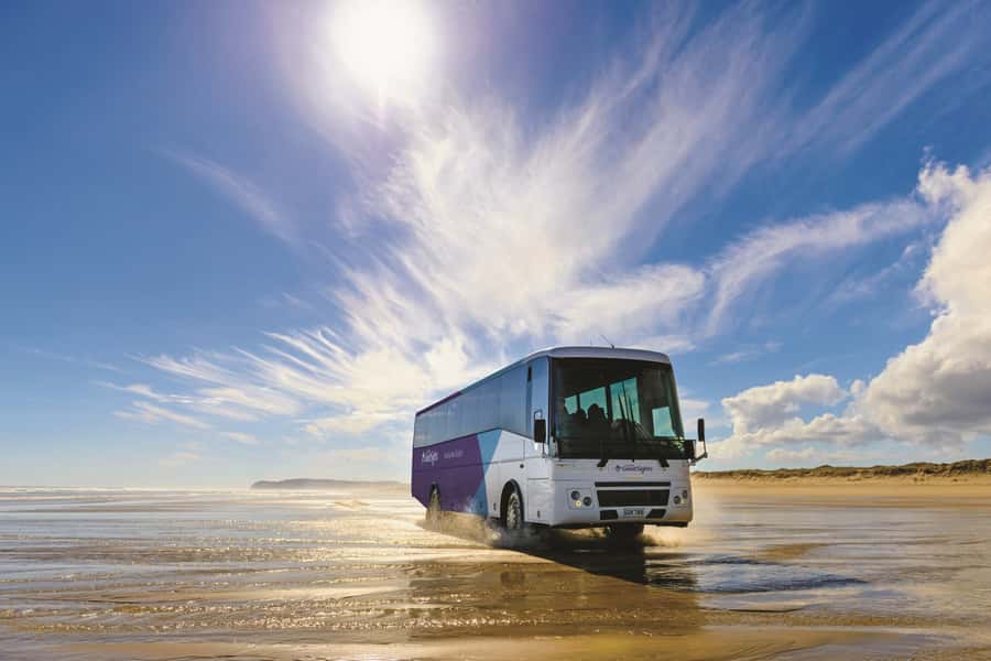 Paihia: Cape Reinga and Ninety Mile Beach Trip with Lunch - Understanding Cape Reinga and Te Rerenga Wairua