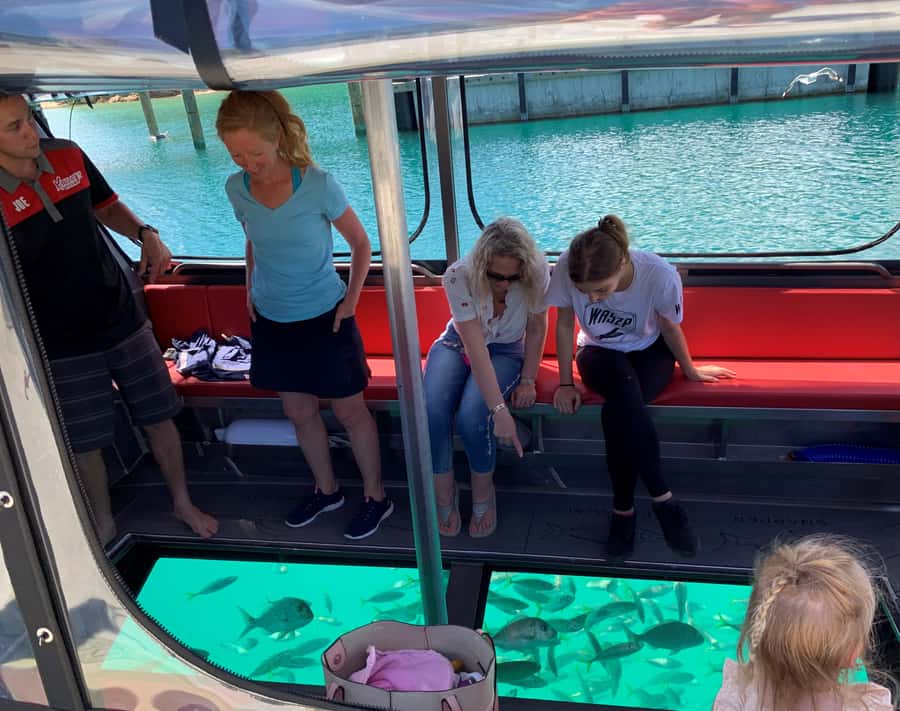 Paihia: Glass Bottom Boat Tour to the Hole in the Rock - Key points to know before you book