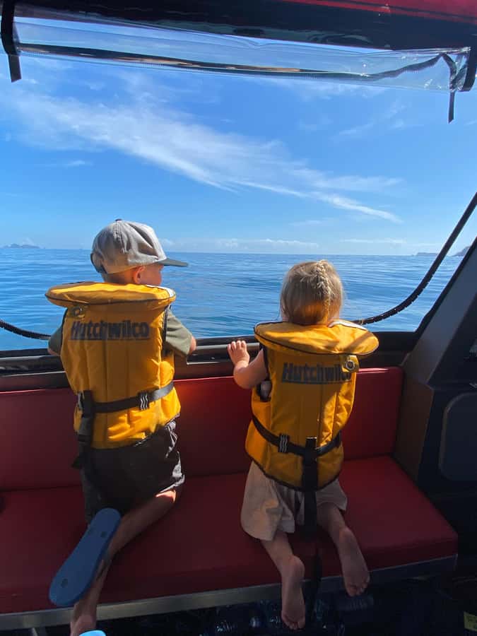 Paihia: Glass Bottom Boat Tour to the Hole in the Rock - Passing through the Hole in the Rock