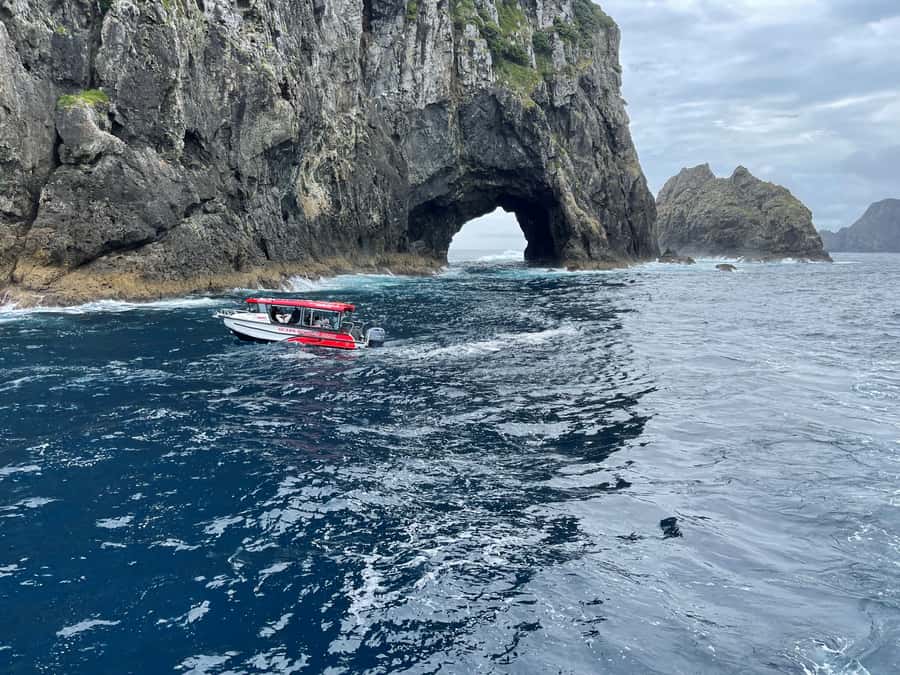 Paihia: Glass Bottom Boat Tour to the Hole in the Rock - Otehei Bay and the glass-bottom fish viewing