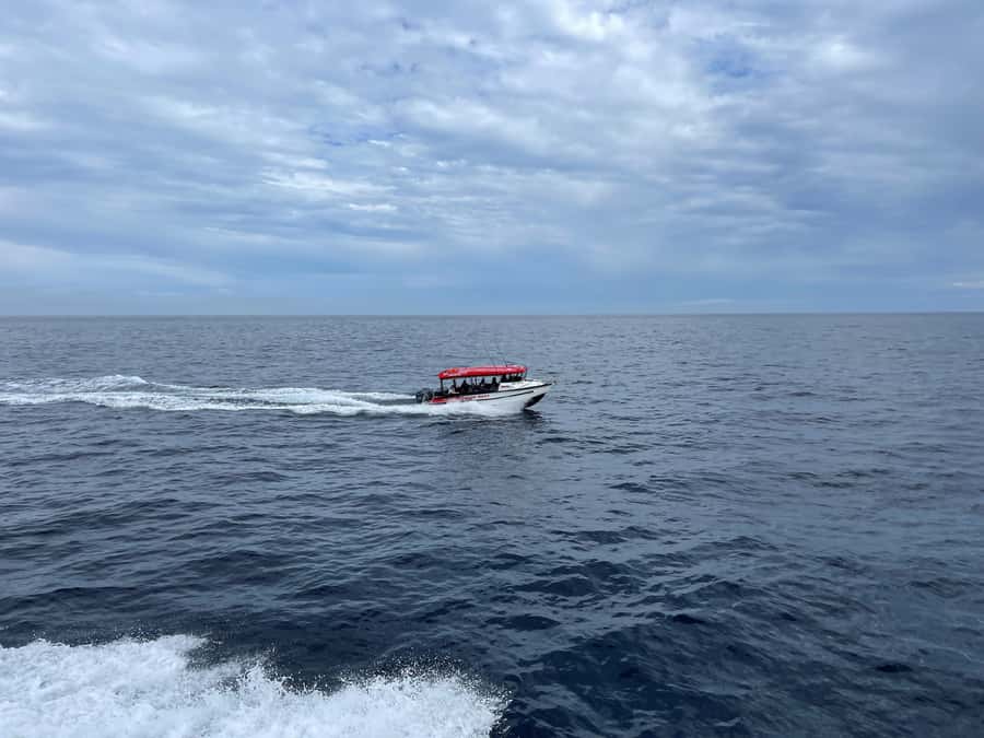 Paihia: Glass Bottom Boat Tour to the Hole in the Rock - Who will enjoy this boat trip most?