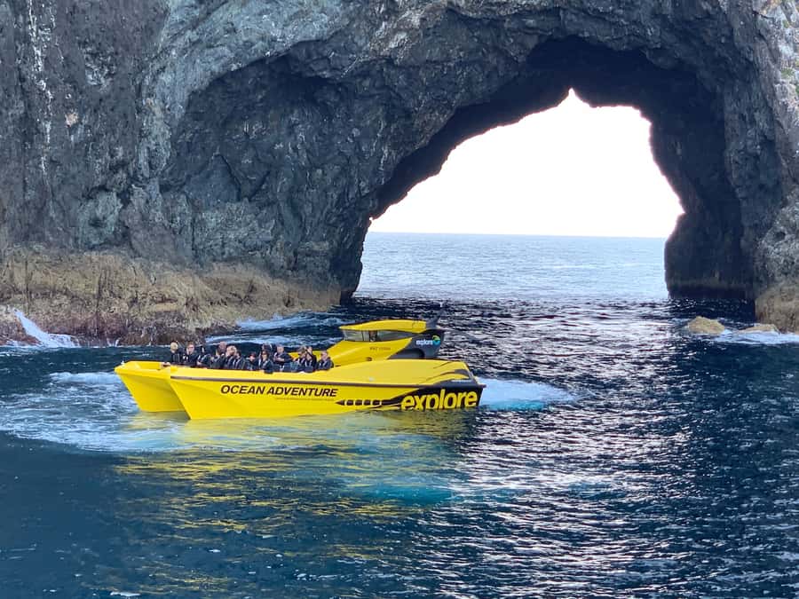 Paihia: Hole in the Rock Fast Boat with Island Stopover - The Cape Brett Lighthouse and the story of the coast
