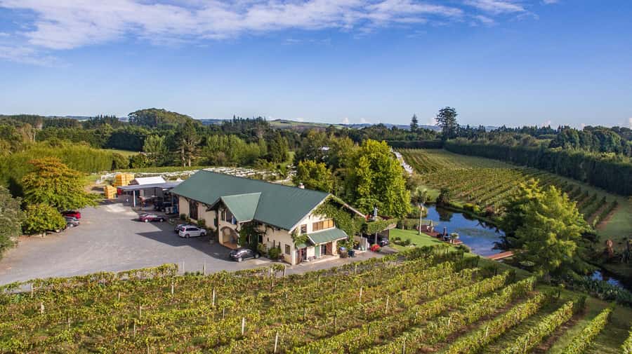 Paihia or Kerikeri: Wine, Spirit, & Craft Beer Tour - Starting in Paihia or Kerikeri