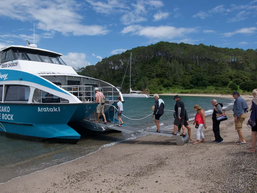 Paihia/Russell: Hole in the Rock Cruise with 2 Island Stops - Motuarohia Island and the Twin Lagoons