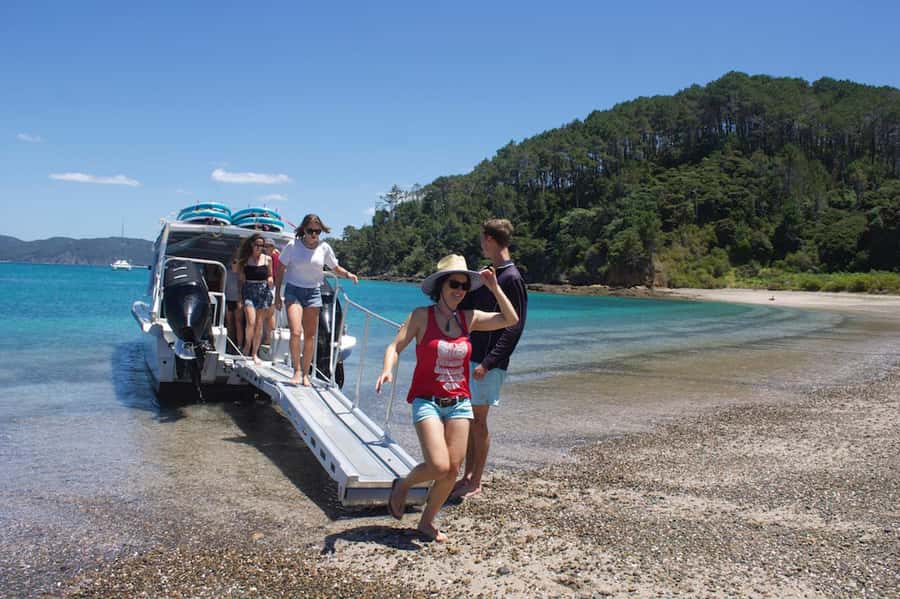 Paihia/Russell: Hole in the Rock Cruise with 2 Island Stops - The Hole in the Rock and Cathedral Cave