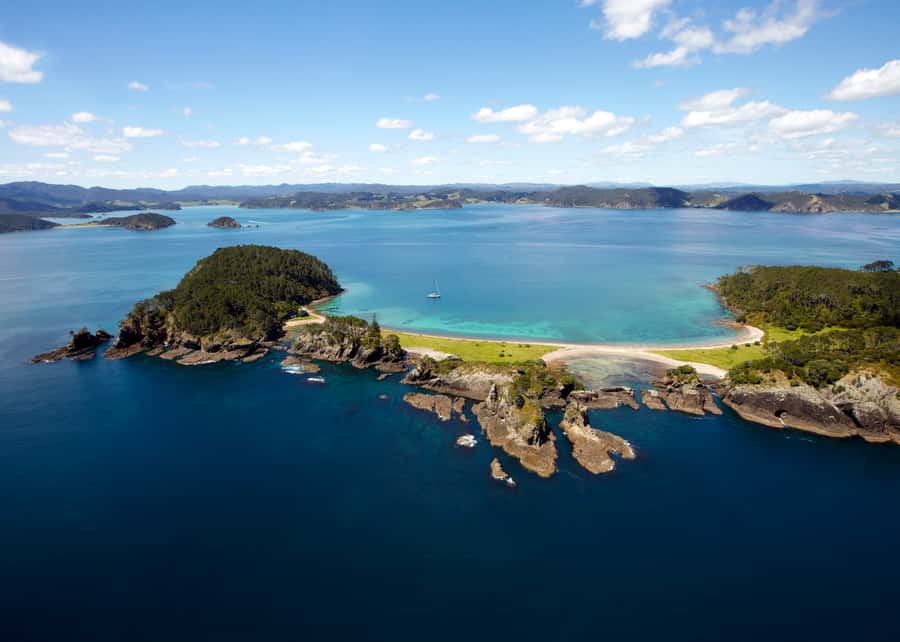 Paihia/Russell: Hole in the Rock Cruise with 2 Island Stops - Wildlife watching on the return route