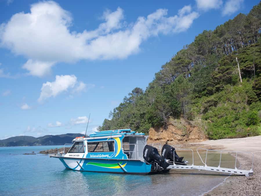 Paihia/Russell: Hole in the Rock Cruise with 2 Island Stops - Crew, boat size, and the feel onboard
