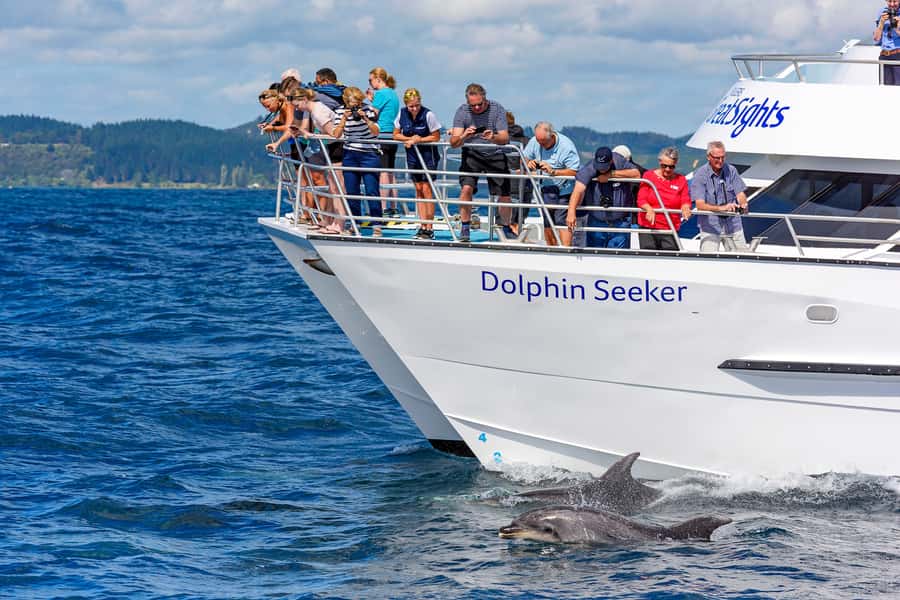 Paihia/Russell: Hole in the Rock, Dolphins & Island Cruise - Setting out from Paihia or Russell