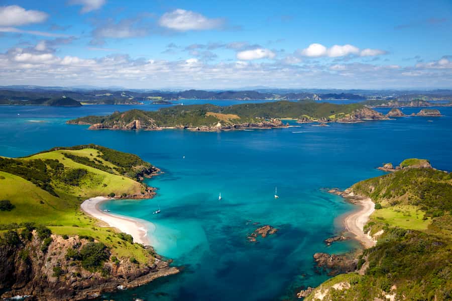 Paihia/Russell: Hole in the Rock, Dolphins & Island Cruise - Who should choose this cruise?