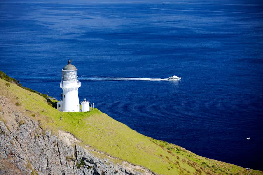 Paihia/Russell: Hole in the Rock, Dolphins & Island Cruise - Practical preparation for the day