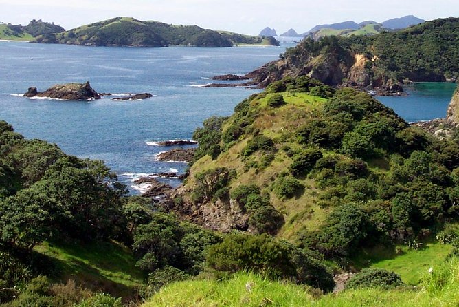 Phantom Sailing Bay of Islands - Why a small yacht changes the day