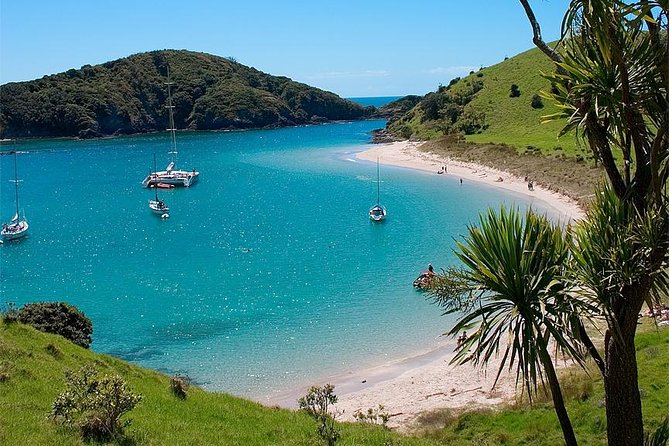 Phantom Sailing Bay of Islands - Homemade lunch served on deck