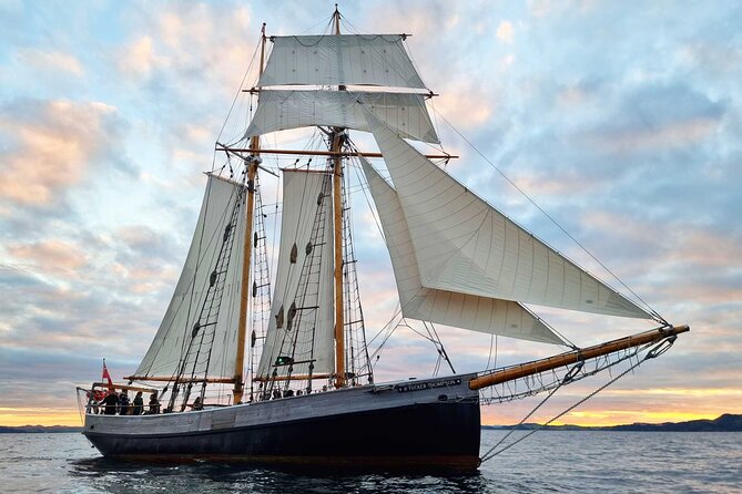 Phantomsailing Private Charters - Swimming and snorkeling in clear Bay waters
