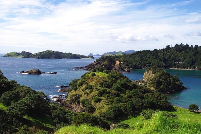 Phantomsailing Private Charters - Lunch, New Zealand wine, and a slower middle of the day