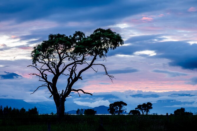 Photography Tour from Queenstown to Glenorchy - 1/2 Day - Snacks, a tripod, and the practical details