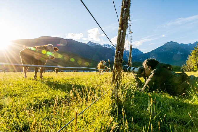 Photography Tour from Queenstown to Glenorchy - 1/2 Day - Is $235.82 per person good value?