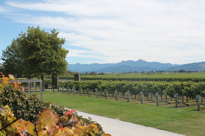 Picton & Blenheim Scenic Tour - Pollard Park adds flowers and breathing room