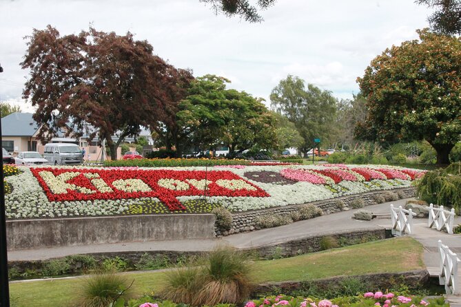 Picton & Blenheim Scenic Tour - Lunch at The Vines Village