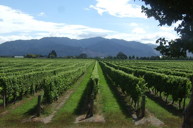 Picton Cruise Ship Shore Excursion Marlborough Wine Tour - Leaving Picton for Marlborough wine country