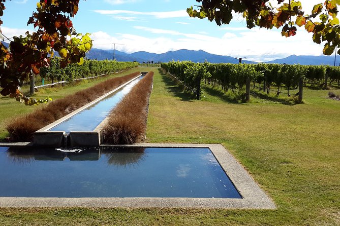 Picton Cruise Ship Shore Excursion Marlborough Wine Tour - Price, value, and who should book