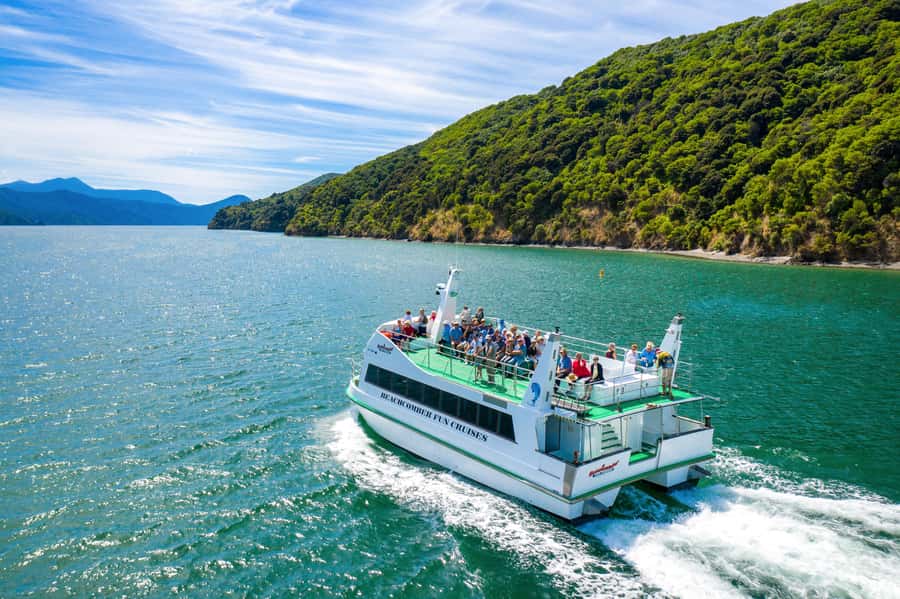 Picton Shore Excursion: Queen Charlotte Sounds Cruise - Key points at a glance