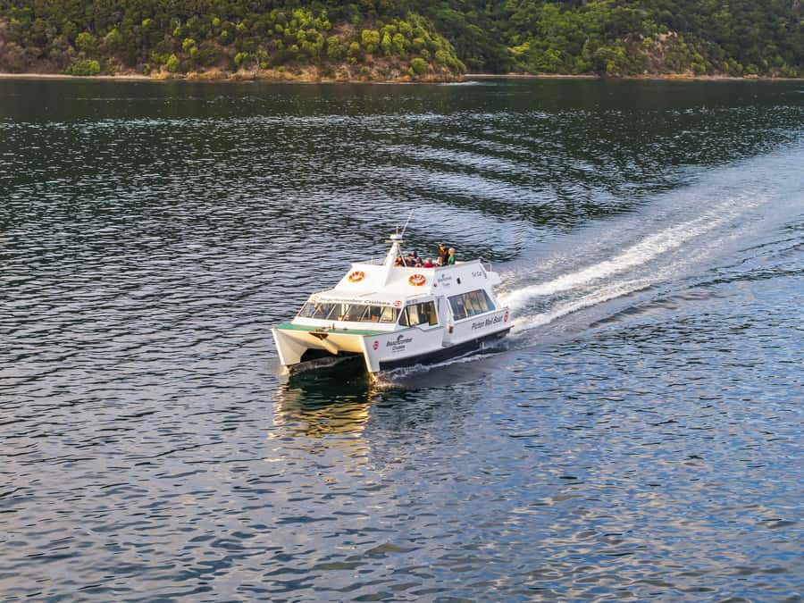 Picton Shore Excursion: Queen Charlotte Sounds Cruise - Why Queen Charlotte Sound is worth your short visit