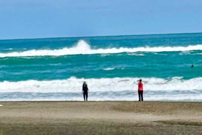 Piha Beach - What Brett adds to the day