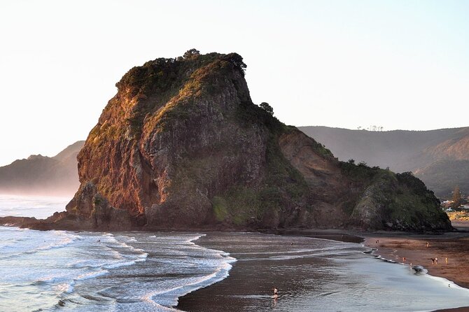 Piha Beach & Wilderness Nature : PRIVATE TOUR 8 hrs - Westhaven Marina, Auckland’s yacht-filled starting point