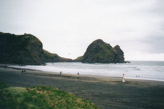Piha Beach & Wilderness Nature : PRIVATE TOUR 8 hrs - Returning to Auckland after the coast