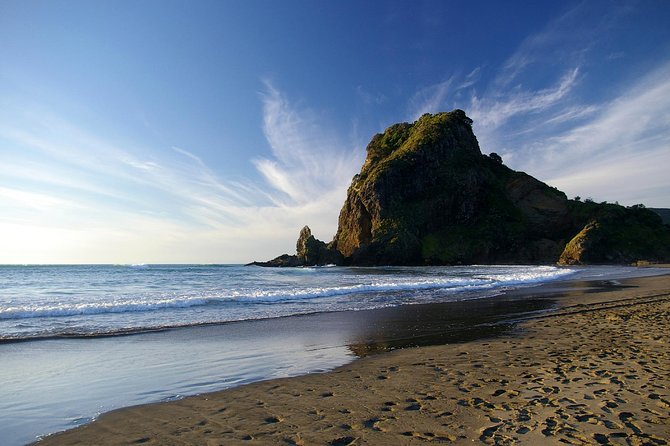 Piha Waitakere Rainforest Wine Tour from Auckland - From central Auckland to the wild west coast