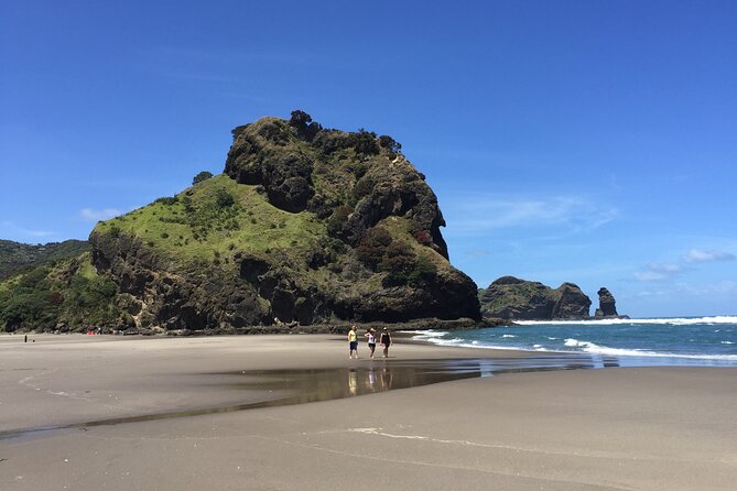 Piha Waitakere Rainforest Wine Tour from Auckland - Is $195.48 good value?