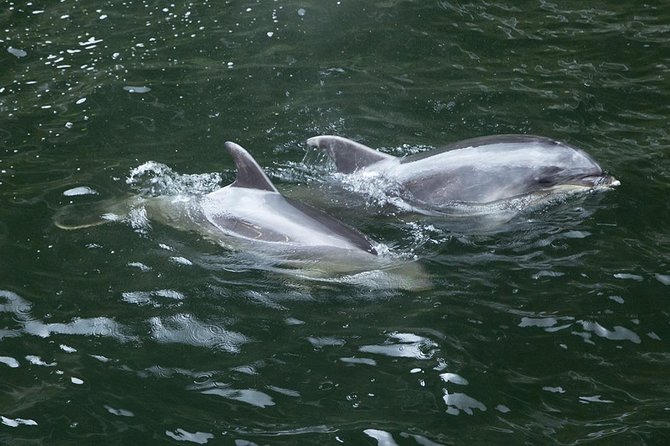 Premium Milford Sound Small Group Tour & Cruise from Queenstown - Mirror Lakes is brief but worth your time