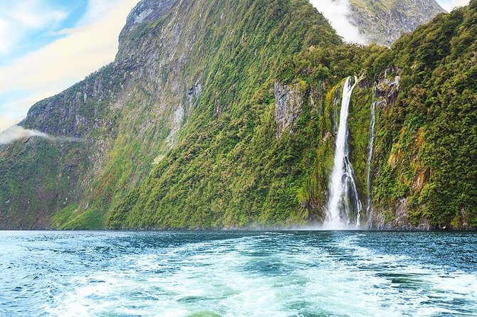 Premium Milford Sound Tour, Cruise & Lunch from Te Anau - What the picnic lunch adds to the day
