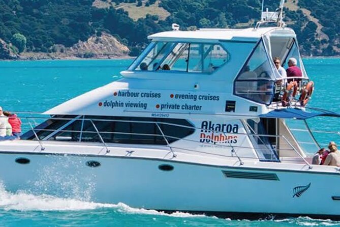 Private Akaroa Day Tour From Christchurch - The harbor cruise and Hector’s dolphins